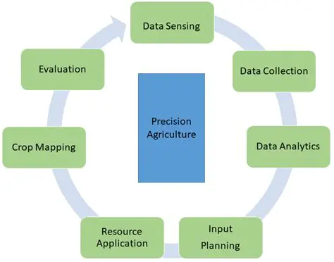 The Representation of Information