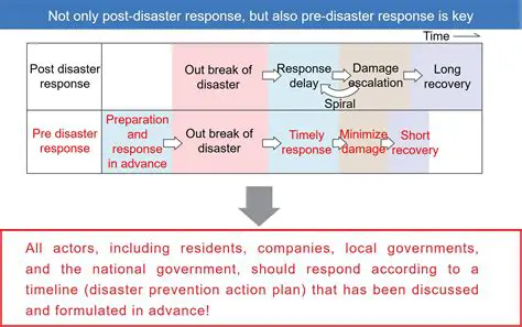 The Response to the Disaster