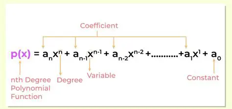 The Result is a Polynomial of a Higher Degree