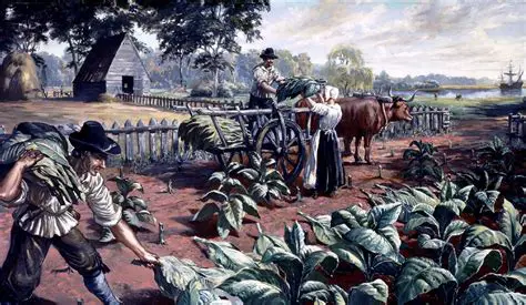 The Rich History of Tobacco Plantation