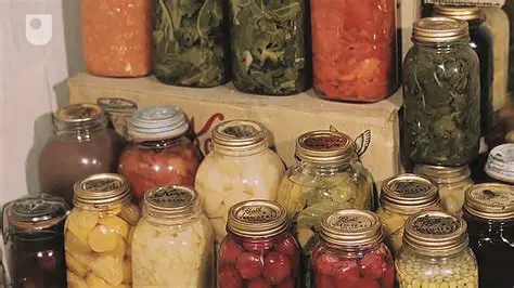 The Rise of Food Preservation