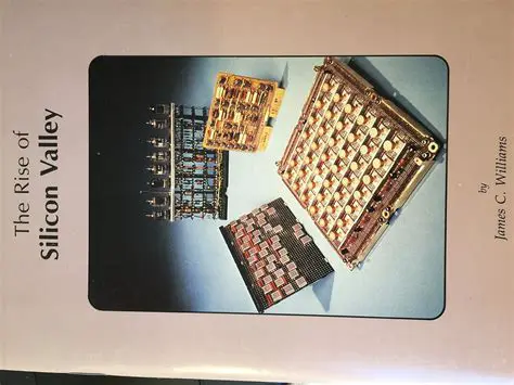 The Rise of Silicon Valley