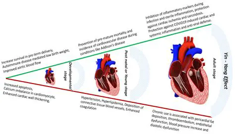 The Risks of Excess Weight on the Cardiovascular System