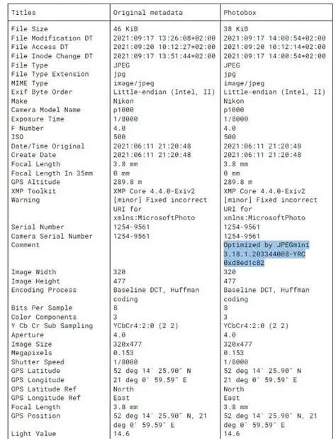 The Risks of EXIF Metadata