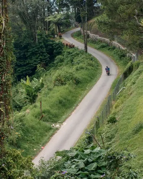 The Role and Main Tasks of Bappeda in Karo Regency