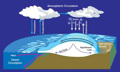 The Role of Atmospheric Conditions in Rain Formation