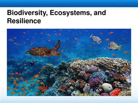 The Role of Biodiversity in Ecosystem Resilience