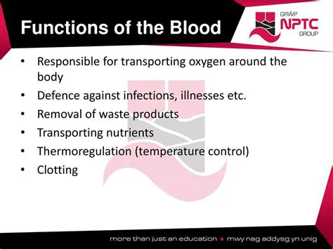 The Role of Blood in Transporting Nutrients