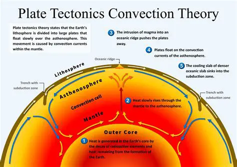 The Role of Convection Currents in Plate Tectonics