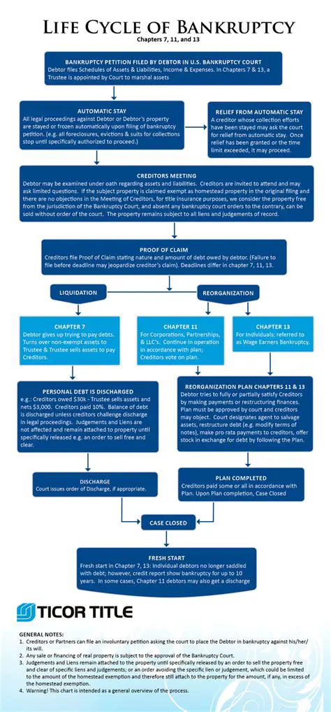 The Role of Creditors in Bankruptcy Proceedings