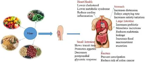 The Role of Dietary Supplements in Our Diet