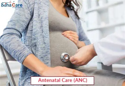 The Role of Distance in Antenatal Care