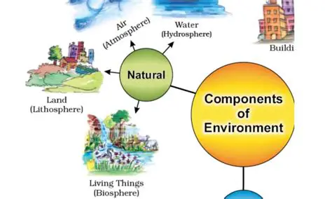 The Role of Environment in Decomposition