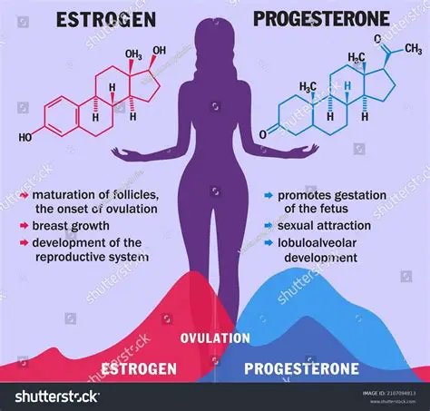 The Role of Estrogen in the Female Reproductive System