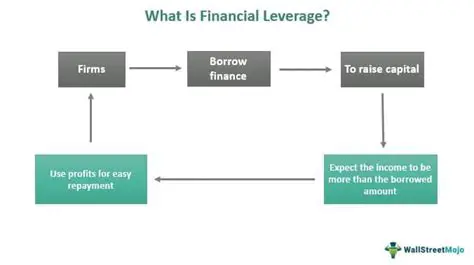 The Role of Financial Leverage in Plantation Companies