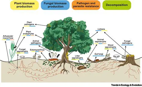 The Role of Fungi in the Ecosystem