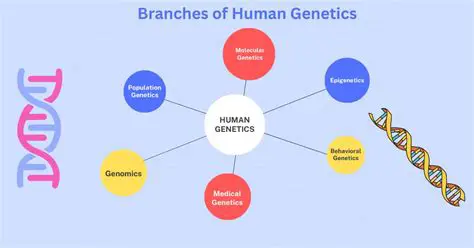 The Role of Genetics in Human Development