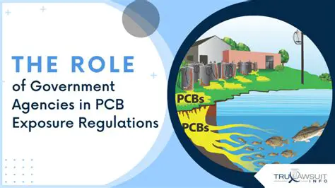 The Role of Government Agencies