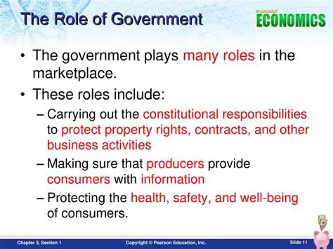 The Role of Government in Public Funding