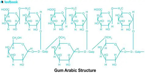 The Role of Gum Arabic in Making Patty Sheets