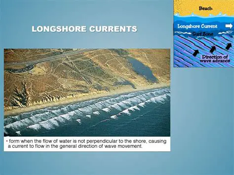 The Role of Longshore Currents