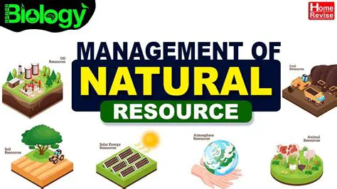 The Role of Natural Resources in Production Decisions
