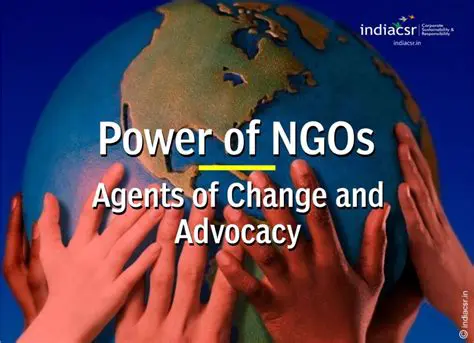 The Role of NGOs and International Organizations