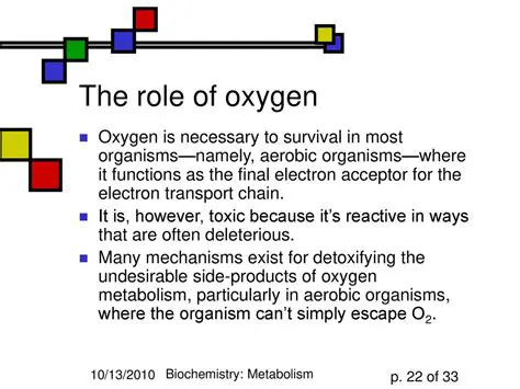 The Role of Oxygen in Modern Ecosystems