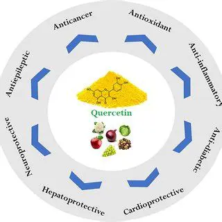 The Role of Quercetin in Duku Extract