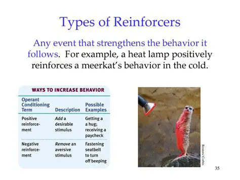 The Role of Reinforcers in Motivation