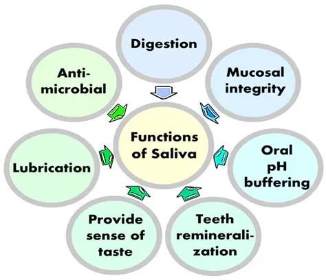 The Role of Saliva in the Sour Taste of Bread