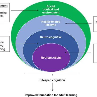 The Role of Sleep in Neuroplasticity