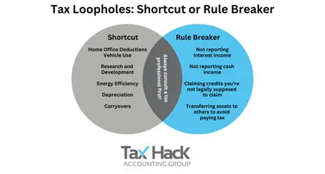 The Role of Tax Loopholes and Deductions