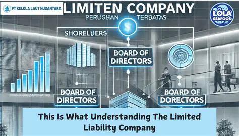 The Role of the Board of Directors in a Limited Liability Company
