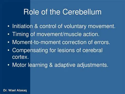 The Role of the Cerebellum in Motor Control and Cognition