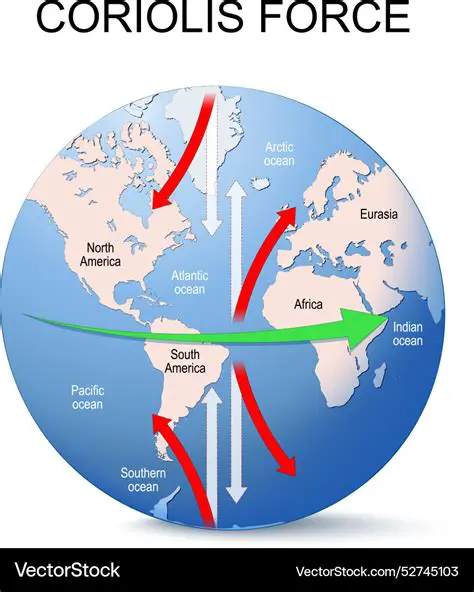 The Role of the Coriolis Force