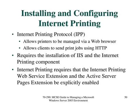 The Role of the Internet Printing Component