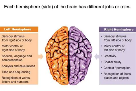 The Role of the Left Hemisphere