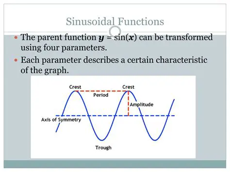 The Role of the Sinusoidal Function