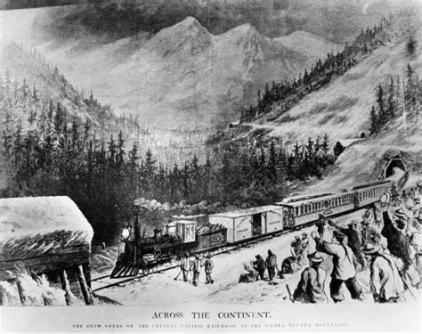 The Role of the Transcontinental Railroad