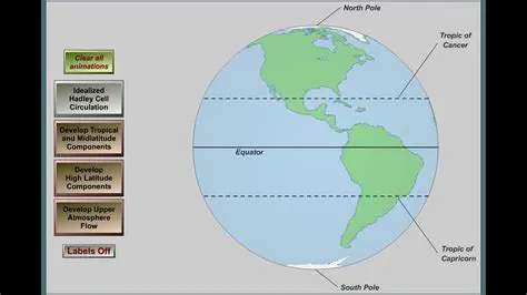 The Role of the Tropics and the Poles