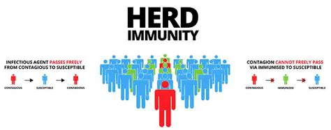 The Role of Vaccination in Achieving Herd Immunity