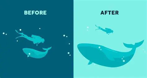 The Role of Visual Hierarchy