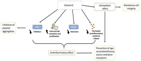 The Role of Vitamin E in Schizophrenia Treatment