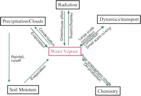 The Role of Water Vapor in Power Generation