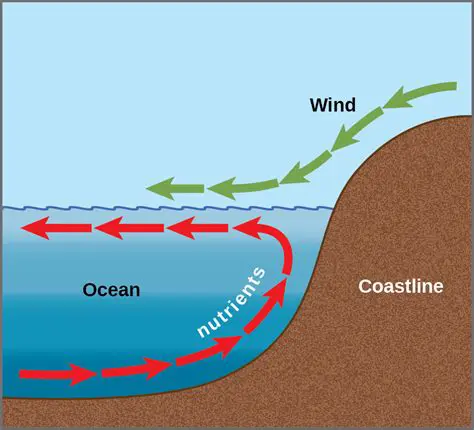 The Role of Wind in Surface Water Circulation