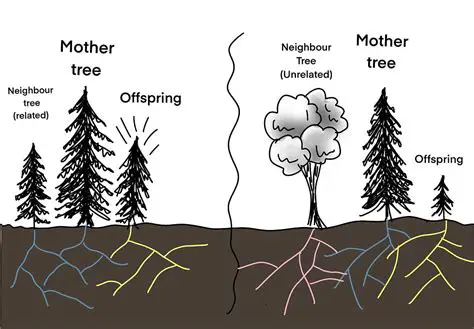 The Science Behind Tree Fall Up