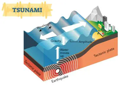 The Science Behind Tsunamis