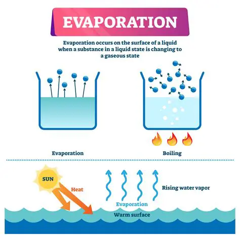 The Science Behind Water Evaporation