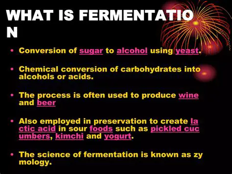 The Science of Fermentation